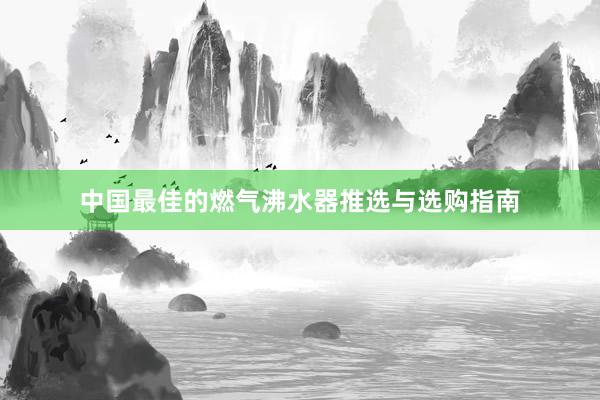 中国最佳的燃气沸水器推选与选购指南