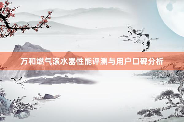 万和燃气滚水器性能评测与用户口碑分析