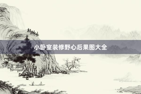 小卧室装修野心后果图大全