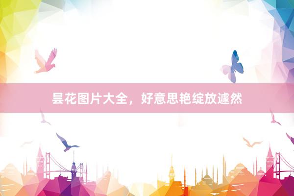 昙花图片大全，好意思艳绽放遽然