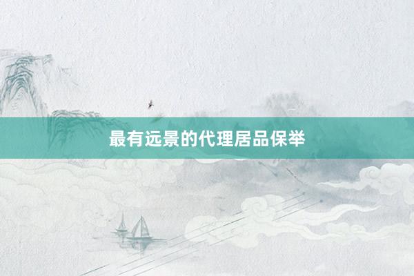 最有远景的代理居品保举